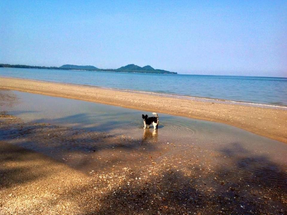 Ban Tawansongfa Hotel Lang Suan ห้อง รูปภาพ